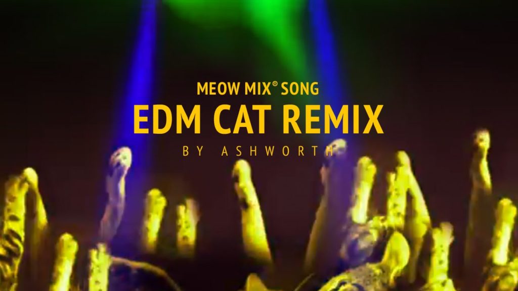 meow mix song edm cat remix by a