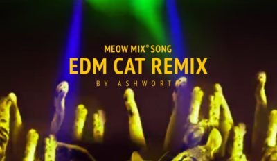 meow mix song edm cat remix by a