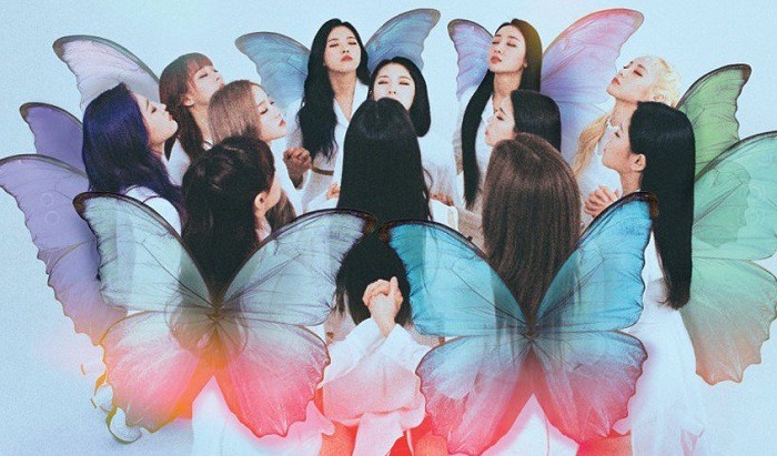 loona butterfly